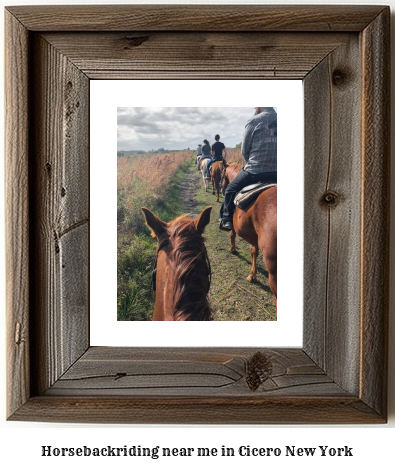 horseback riding near me in Cicero, New York